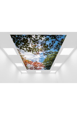 سقف MNZ-Stretch Mg 1519 - Miray Dekorasyon