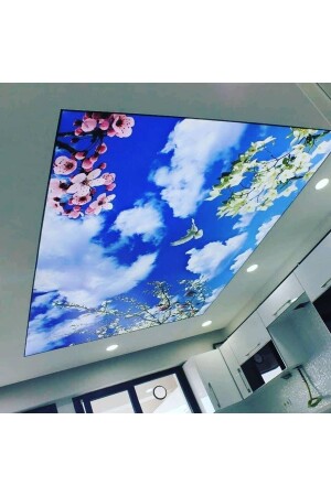 سقف MNZ-Stretch Mgt19 - Miray Dekorasyon