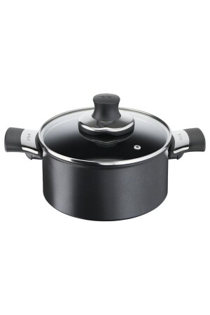 MNZ-Titanium 1x Excellence Deep Pot مع قاعدة إدخال - 20 سم 2100117776 - TEFAL