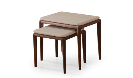 طاولة قهوة مزدوجة تعويضات MNZ-Trinket - Cadde Yıldız