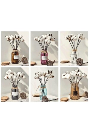 فرع القطن الطبيعي من MNZ-White 6 قطع - Kelebek Çiçekçilik Hobi