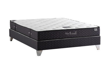 الميتراسة من جيب الربيع من جيب 