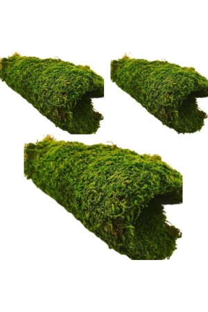 MNZ-Ysn1 الطبيعي 3 قطع (30x20) سم صخرة موز حقيقي النبات غير قابل للتدمير 8479345000192 - Joy and Toys