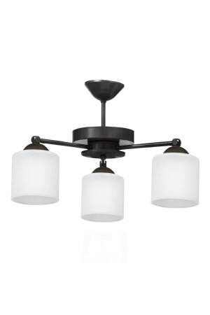 غرفة المعيشة - المطبخ - غرفة النوم تصميم الزجاج ثلاثي الشنابل - Modavize