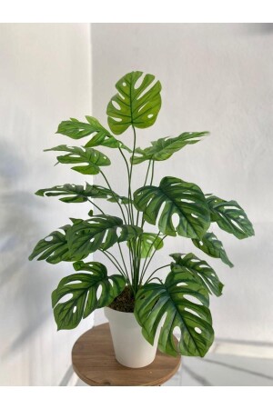 Monstere Artificial Monstera Camel Plant In Plastic Pot 80 Cm- 18 Pcs. - 2