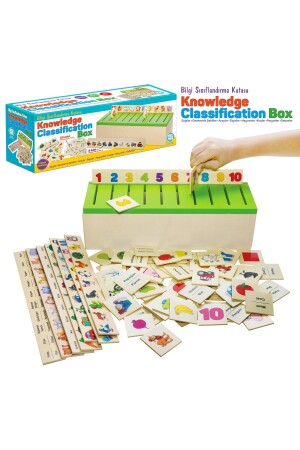 Montessori-Informationsklassifizierungsbox – geschlungen - 3