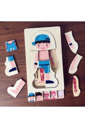 Montessori Waldorf Lernpuzzle aus Holz zur Anatomie des männlichen menschlichen Körpers ankbtmns01 - 8