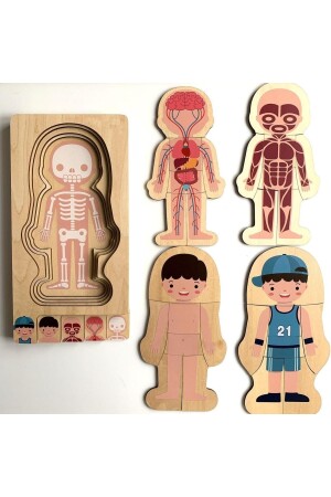 Montessori Waldorf Lernpuzzle aus Holz zur Anatomie des männlichen menschlichen Körpers ankbtmns01 - 9