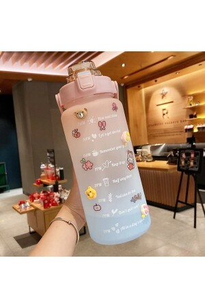 Motivierende 2 Li Wasserflasche Wasserflaschentrinker 2lt+900ml Tritan mit Baby Gym Wasserflaschentrinker canmatara2li - 3