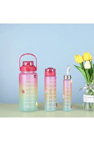 Motivierendes, selbstdichtendes, auslaufsicheres Set mit 3 Wasserflaschen, 2 l, 900 ml, 300 ml - 7