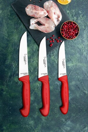 Mutfak Bıçak Seti Et Ekmek Kıyma Sebze Bıçağı - Silver Serisi 418 - 4