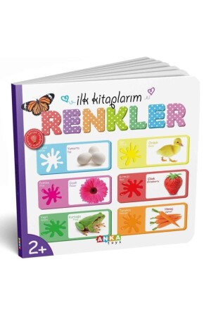 My First Books 6-teiliges Trainingsset für pädagogische Intelligenzkarten, Spielbuch - 3