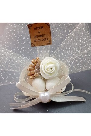 Natural Seashell Wedding Engagement Candy 25 Pieces Labeled Cupboard Ornament magnetdenzkbklu - 1