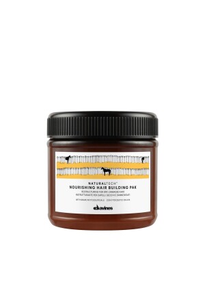 Nourishing Hair Building Pak Yıpranmış Kuru Saç Maskesi 250 ml - Davines