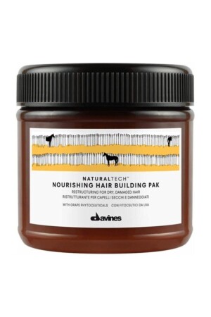 Nourishing Hair Pak Maske für geschädigtes, trockenes Haar, 250 ml - 2