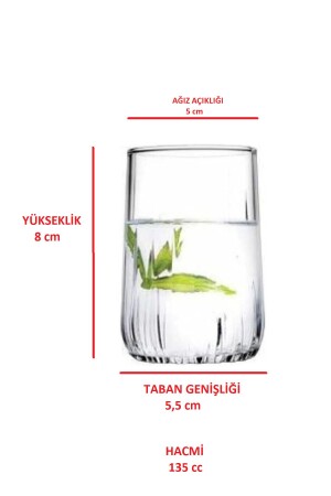 Nova 6-teiliges Kaffeeglas 420522 - 5