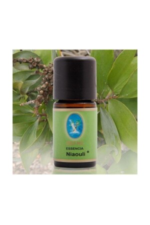 Nuka Bio-Niaouliöl 10 ml. - 1