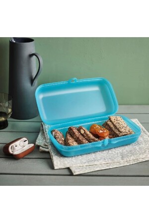 Nutrition Bowl Oyster Aufbewahrungsbox Türkis Hsgl 2051 - 5