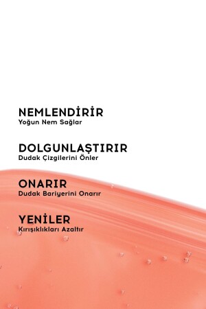 Onarıcı Besleyici Dudak Bakım Parlatıcı Nemlendirici Bej Renkli Kurabiye Aromalı 3in1 Lip Balm 403 - 6