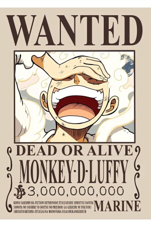 One Piece Monkey D.luffy Aranıyor Wanted Posteri - 2