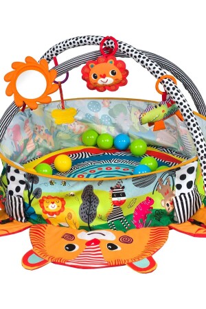 مركز نشاط (مينز) و قماش لعب يتحول إلى حفرة لعبة أسد - Molie