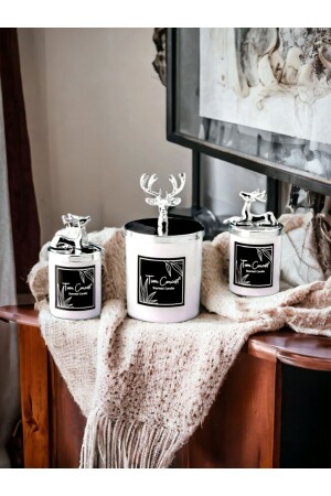 مكنسة مكنسة مكنسة مكنسة مكنسة مكنسة مكنسة مكنسة مكنسة مكنسة مكنسة مكنسة مكنسة مكنسة مكنسة مكن - Tiem Concept