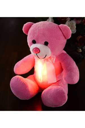 Özgüner Schlafender Freund 60 cm LED-beleuchteter Teddybär hk20211204001-1 - 4