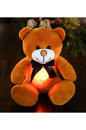 Özgüner Schlafender Freund 60 cm LED-beleuchteter Teddybär hk20211204001-2 - 2