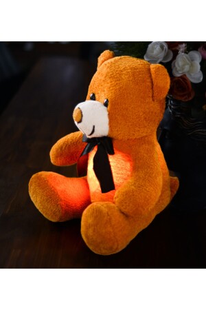 Özgüner Schlafender Freund 60 cm LED-beleuchteter Teddybär hk20211204001-2 - 4