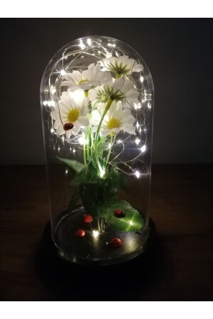 Papatya Uğur Böceği Çiçek Işıklı Fanus Dekoratif Sevgiliye Özel Doğum Günü Yıl Dönümü Hediyesi - 4