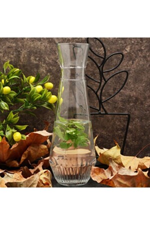 مشروب منازل منازل منازل منازل منازل منازل منازل منازل منازل منازل منازل منازل منازل منازل منازل - Paşabahçe