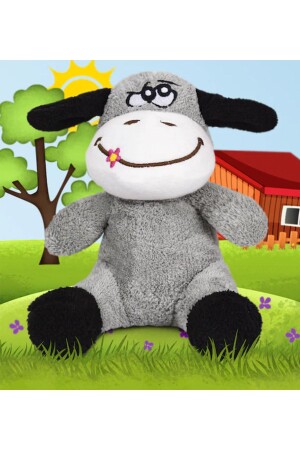 (منز) - رفيق النوم - دبّة (بلوش) - حمار (أحمية) - حمار (أحمية) - Canestar