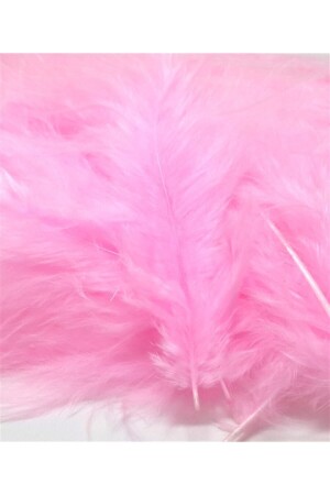 Pembe Kuş Tüyü 100lü - Aker Hediyelik