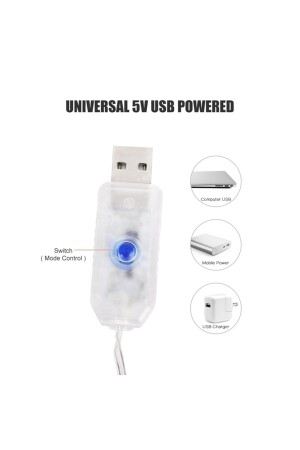 Perde Led Işıkları Süsleme Usb Uzaktan Kumanda 8 Mod Işık Zinciri 10 Saçaklı Kilitli Korniş Aparatlı - 8