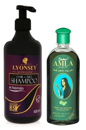 Pferdeschwanz-Shampoo, 400 ml, Dabur Amla Haarpflegeöl, 200 ml, ovale Haarbürste, Geschenk - 2