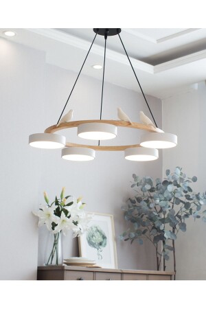 عضلة (MNZ-Phival) بسيطة (Candelier) - SimaAvize