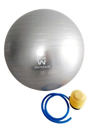 Plattenball 65 cm (grau) und Pumpenset WTFPLT65G - 1