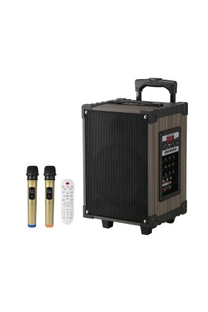 Professioneller kabelloser Lautsprecher Lt-912 BT mit Bass-Soundbox LT912 - 3