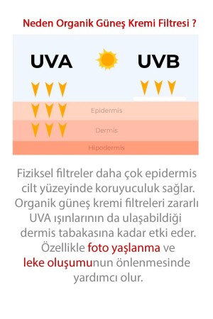 Ql Yüz Güneş Kremi Su Bazlı Leke Karşıtı 50 Faktör Güneş Kremi - 4