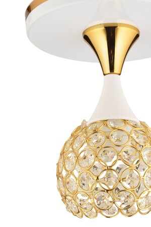 Regen-Kristallkugel, Weißgold, vergoldet, einzelner moderner Luxus-Kronleuchter mit Tablett 1011 - 2