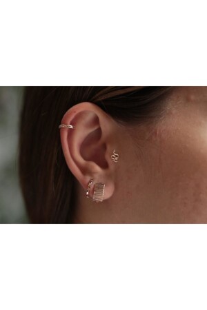 Reis Yılan Tragus T1437 - 3