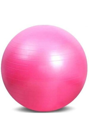 Rosa Plattenball Pilates52 - 1