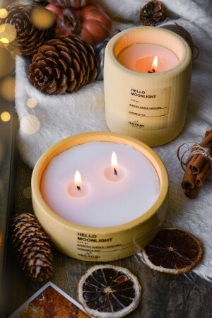 Sarı 2'li Beton Saksı Içinde Amber Kokulu Soya Mum Seti - Ersustore