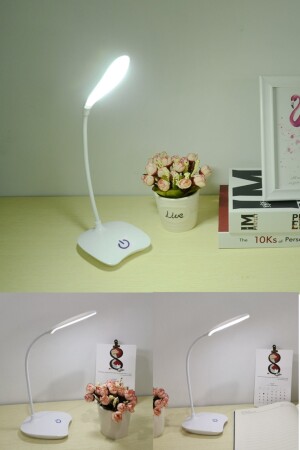 Schreibtischlampe mit 3 einstellbaren Lichtfunktionen, perfekt zum Lernen und Lesen von Büchern shhz008c - 6