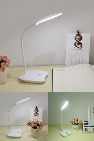 Schreibtischlampe mit 3 einstellbaren Lichtfunktionen, perfekt zum Lernen und Lesen von Büchern shhz008c - 1