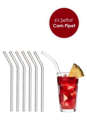 Şeffaf 6'lı Cam Eğimli Pipet Cam Pipet - 2