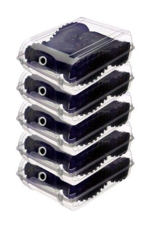 صندوق تخزين الأحذية الشفافة من MNZ - صندوق الأحذية المُعدّة بخمس قطع - Leeshome