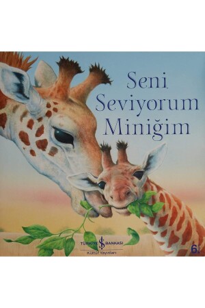 Seni Seviyorum Miniğim - 1