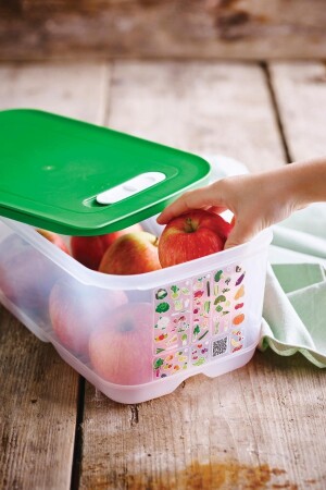 Sera Serisi Yüksek Gövdeli Kap 4.4l Yeşil tupperware-sera4.4 - 6