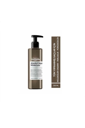 Serie Expert Absolut Repair Molecular Rinse Seru für alle geschädigten Haare - 1